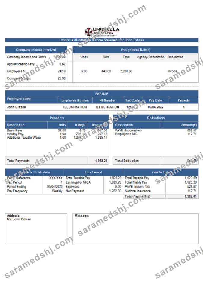 USA Umbrella pharmaceutical company pay stub